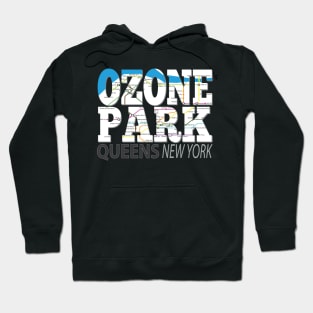 Fun Cool Ozone Park Queens New York with Subway Map Hoodie